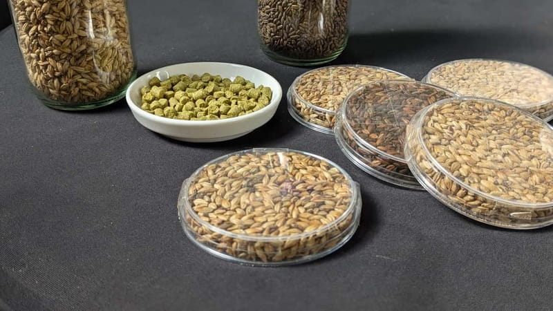 Brussels: micro brewery & distillery tour + beer tasting - The 1-hour flow: what happens from start to finish