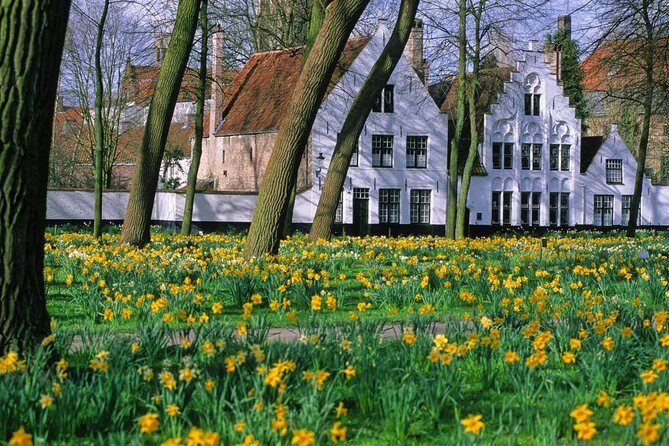 Brussels to Bruges: Private & Personalized Day Trip with a Local - Key things you get on this Bruges day trip