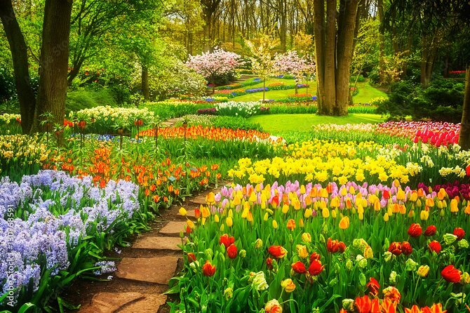 Delft and Keukenhof Gardens Tour from Brussels - Price and Value: Why $106.65 Can Make Sense for This Season
