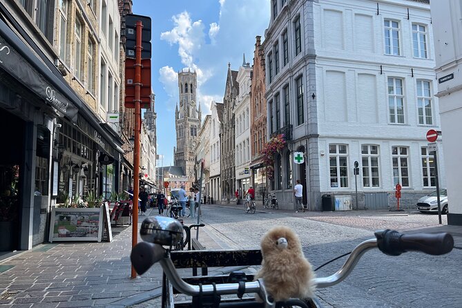 Private Full-Day Tour Bruges & Ghent from Brussels with tastings - Price and logistics: when $1,066.45 is good value